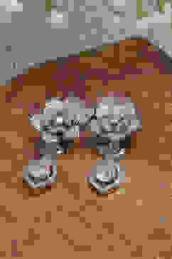 Light Pink Alloy Drop & Danglers image number 0