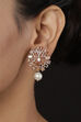 Gold Earrings image number 0