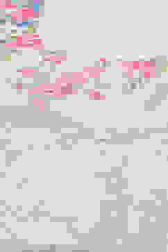 Powder Blue Cotton Anarkali Suit Set image number 1