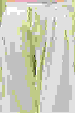 Cream Poly Viscose Straight Kurta Salwar Pant Suit Set image number 2