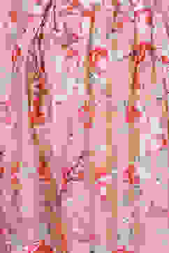 Dusky Peach Cotton Modal Flared Kurta Palazzo Suit Set image number 2