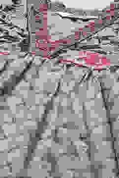 Grey Cotton Gathered Suit Set image number 1