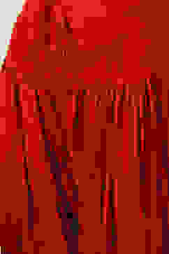 Red LIVA Straight Kurta Salwar Kurta Salwar Suit Set image number 2