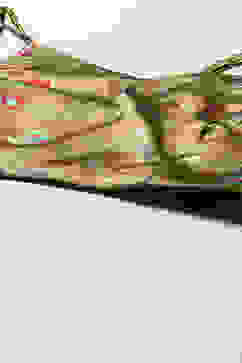 Green Pre-Draped Saree & A Stitched Blouse With Floral Prints image number 1