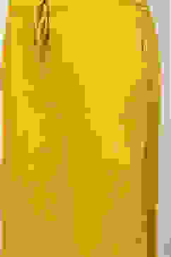Mustard Rayon Palazzo image number 1
