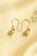 Gold Plated Brass Drop Earrings image number 0