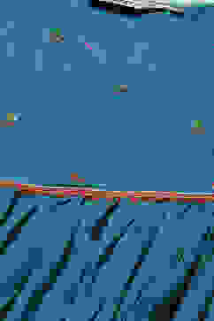 Turquoise Blue Art Silk Gathered Kurta Palazzo Suit Set image number 6