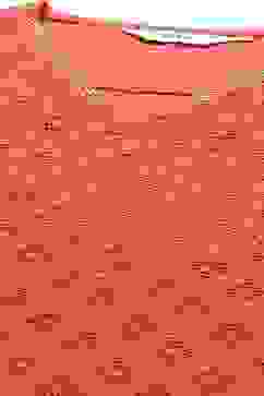 Soft Red Straight Kurta Relaxed Pants Suit Set image number 1