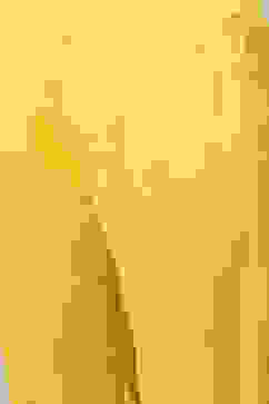 Yellow Cotton Straight Kurta Slim Pants Suit Set image number 2