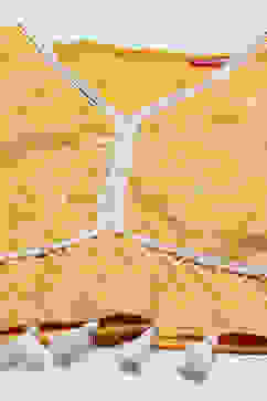 Yellow Poly Chanderi Printed Tasseled Lehenga Set image number 1