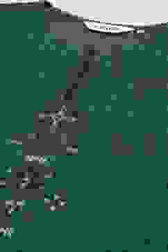 Green Poly Metallic Straight Printed Kurti image number 1