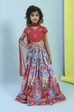 Red Cotton Lehenga Set image number 6