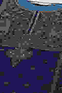 Teal Poly Velvet Straight Printed Kurta image number 1