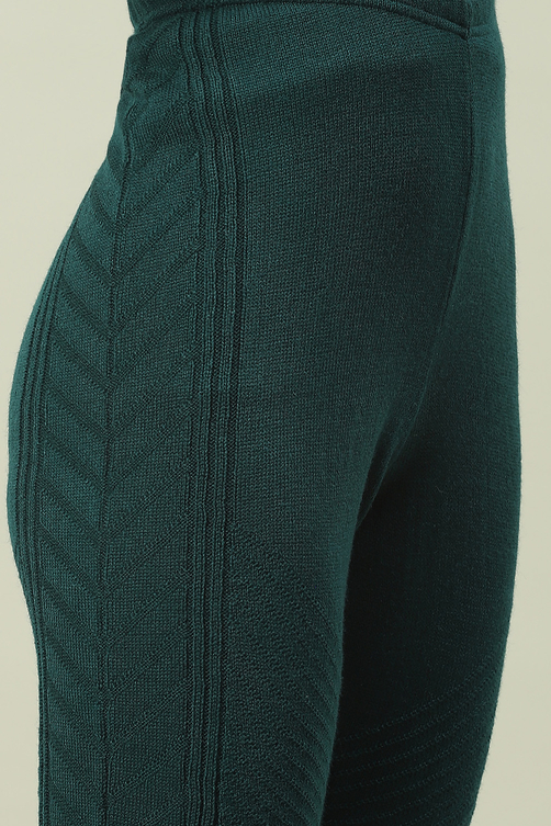 Maroon Acrylic Jeggings image number 1