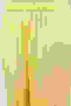 Lime Yellow Schiffli Embroidered Straight Suit Set image number 2