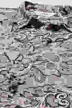 Grey LIVA Printed Top image number 1