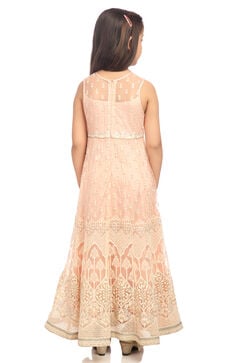 Peach Anarkali Nylon Gown image number 4