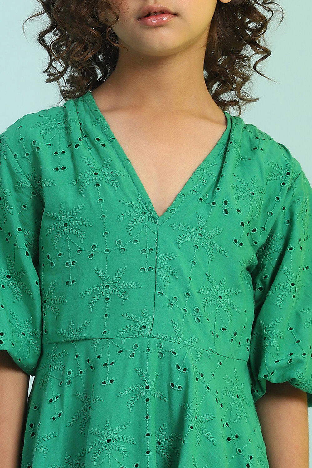 Green Cotton Schiffli Flared Dress image number 1