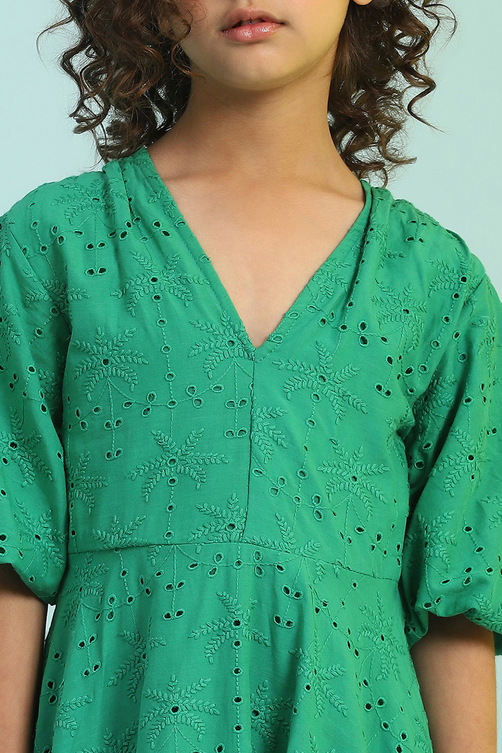 Green Cotton Schiffli Flared Dress image number 1
