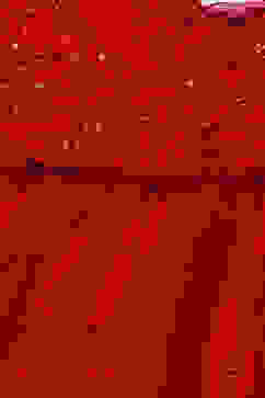 Red Nylon Flared Gown image number 1