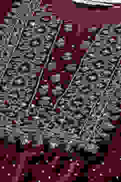 Maroon Velvet Straight Printed Kurta image number 5