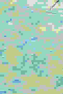 Apple Green Cotton Printed Top image number 1