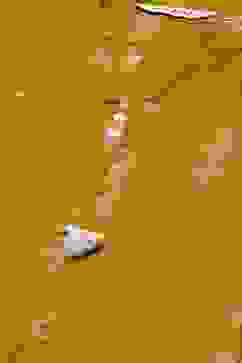 Mustard Poly Cotton Straight Yarndyed Kurta image number 1