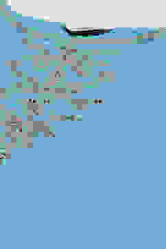 Turquoise Cotton Straight Kurta Slim Pants Suit Set image number 1