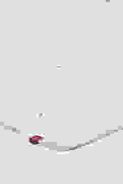 Off White Cotton Blend Printed Dupatta image number 1