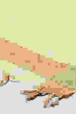 Beige Nylon Yarndyed Dupatta image number 1