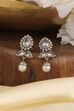 Silver Toned Gold Plated Brass Studded Drop Earrings image number 0