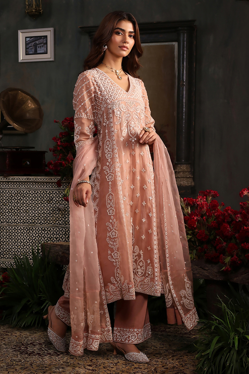 Light Green Organza Embroidered Kalidar Suit Set image number 5