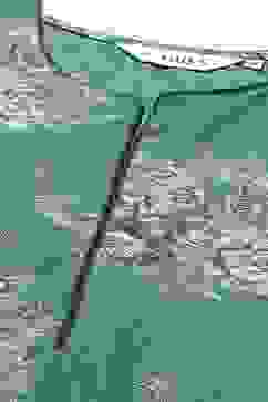 Dark Green Cotton Straight Kurta Palazzo Suit Set image number 1