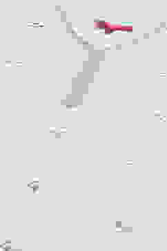 White Poly Chanderi Embroidered Mirror Work Suit Set image number 1