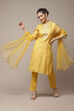 Yellow Cotton Blend Straight Kurta Suit Set