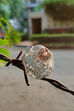 Matt Silver And Gold Mesh Ring image number 1