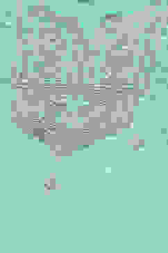 Sea Green Polyester Straight Kurta Salwar Suit Set image number 1