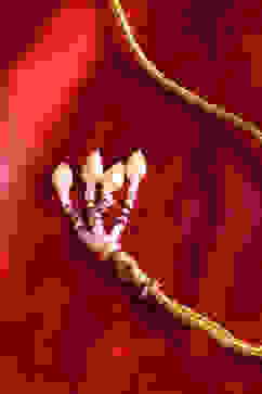 White Alloy Necklace Set image number 3