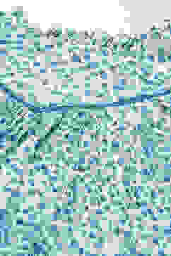 Blue Viscose Printed Short Top image number 1