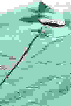 Light Green Kota Asymmetric Suit set image number 1