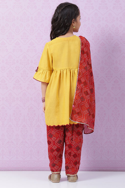 Ochre Yellow Nylon Flared Kurta Salwar Suit Set image number 4