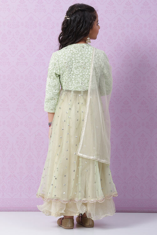 Mint Green Viscose Lehenga Set image number 4