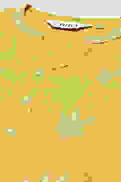 Lime Rayon Straight Kurta image number 1