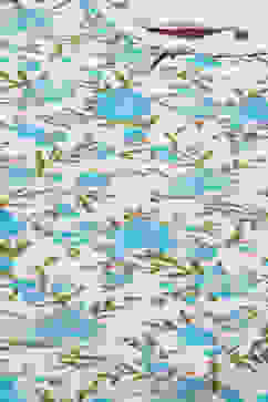 Off White & Turquoise Cotton Printed 2 Piece Sleepwear Set image number 1