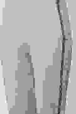 Good Grey Cotton Blend Pants image number 1