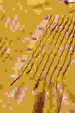 Ochre Art Silk Flared 2 Piece Set image number 1