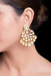 Stunning Gold And Crystal Earrings image number 1