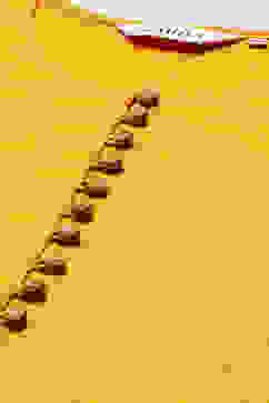 Yellow Cotton Straight Embroidered Kurta Slim Pant Suit Set image number 1