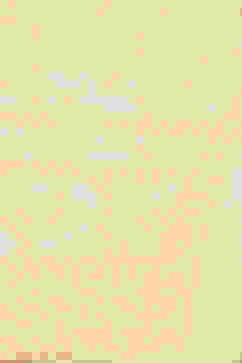 Yellow LIVA Straight Kurta Slim Pant Suit Set image number 3