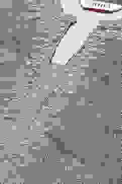 Green Straight 2 Piece Set image number 5